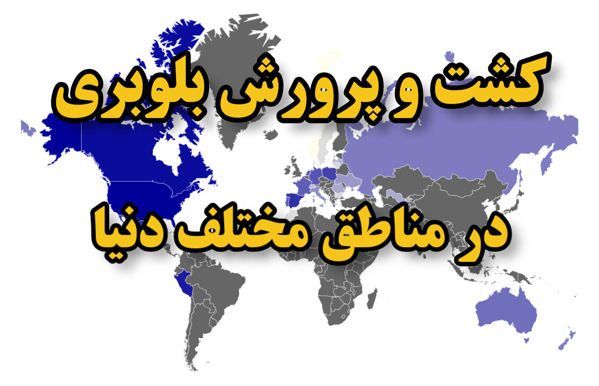 روش‌های کشت و پرورش بلوبری در مناطق مختلف دنیا