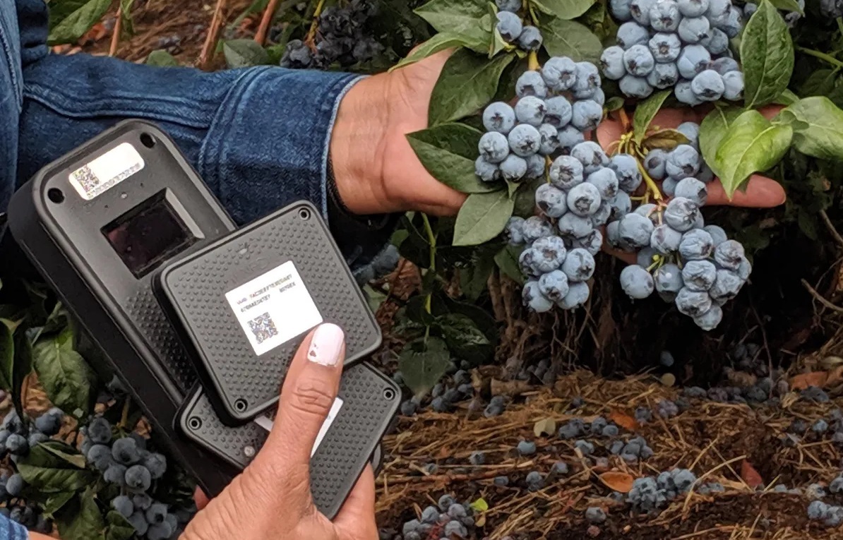 Introduction to Electronic Tools and Software for Blueberry Farming