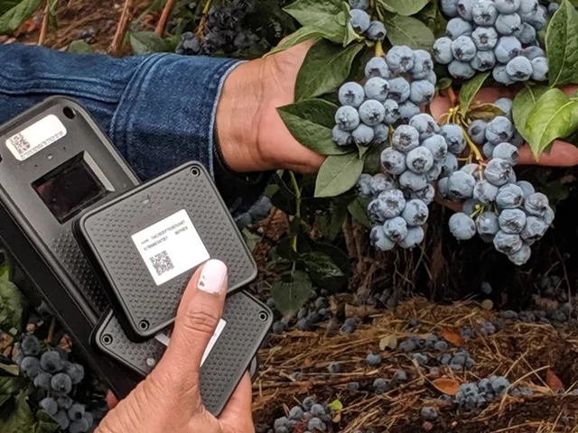 Introduction to Electronic Tools and Software for Blueberry Farming