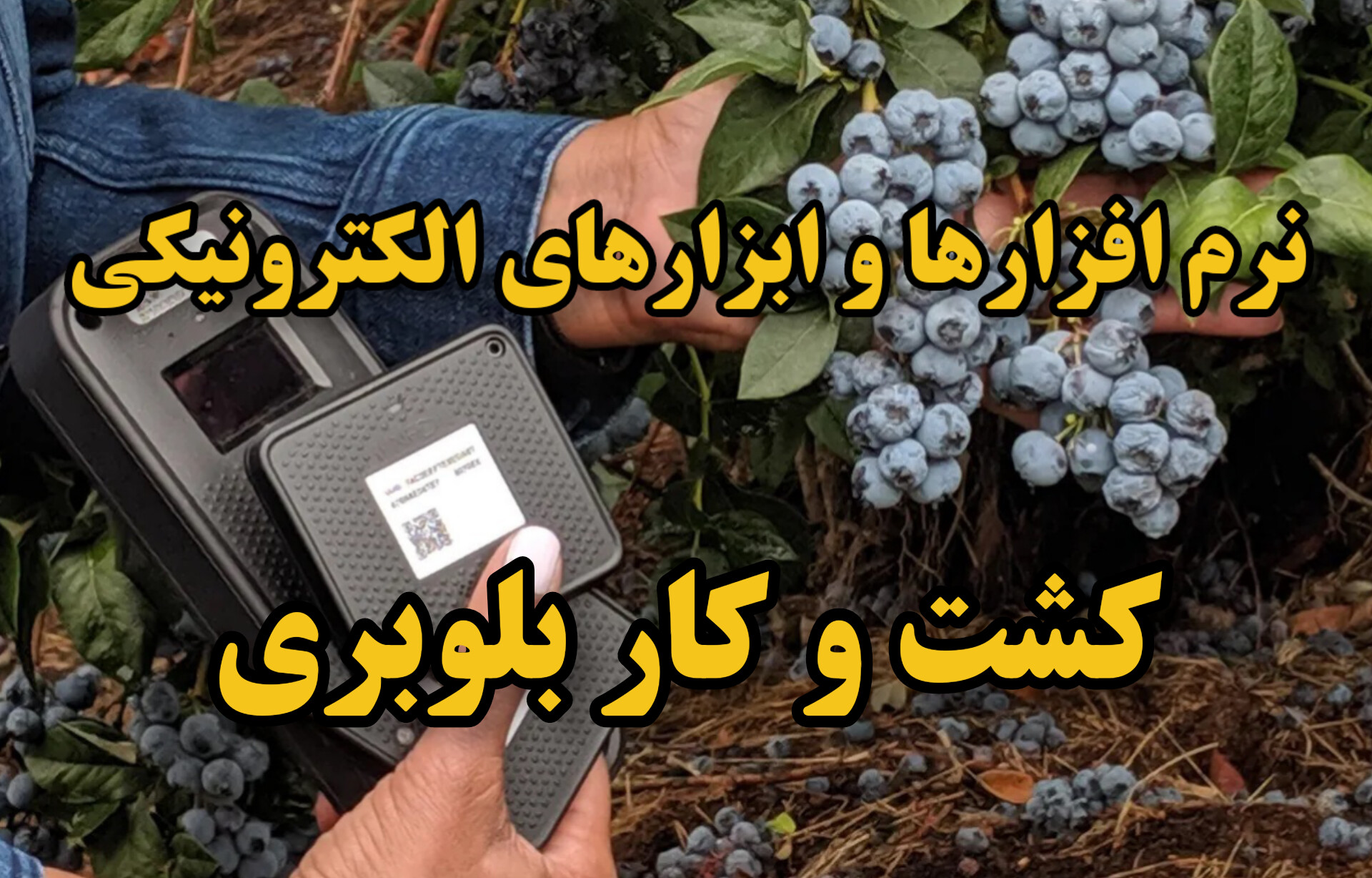 معرفی نرم‌افزار‌ها و ابزارهای الکترونیکی برای کشت و کار بلوبری