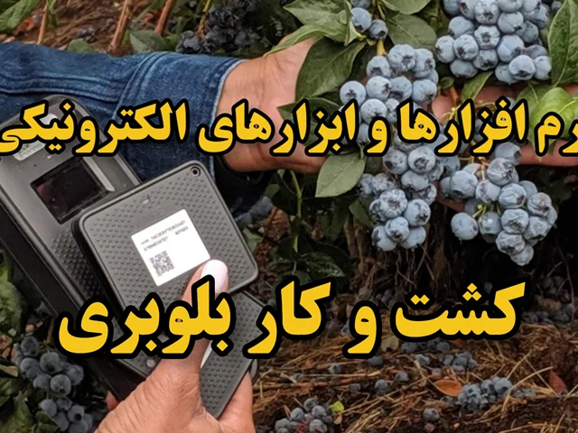معرفی نرمافزارها و ابزارهای الکترونیکی برای کشت و کار بلوبری
