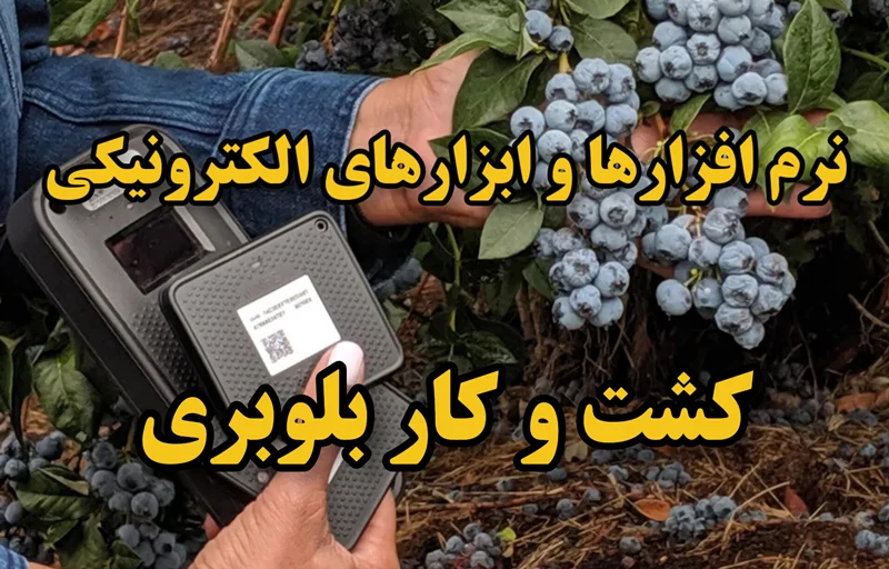 معرفی نرمافزارها و ابزارهای الکترونیکی برای کشت و کار بلوبری