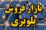 بررسی راهکارهای افزایش بازار فروش بلوبری